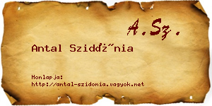 Antal Szidónia névjegykártya