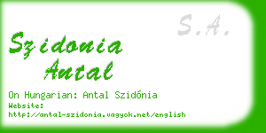 szidonia antal business card